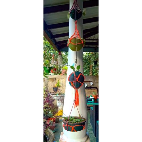 Village Breeze Homestay