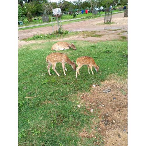 Villavillagekanthale