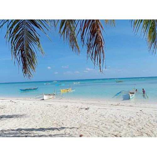 Vincent and Rose Home stay