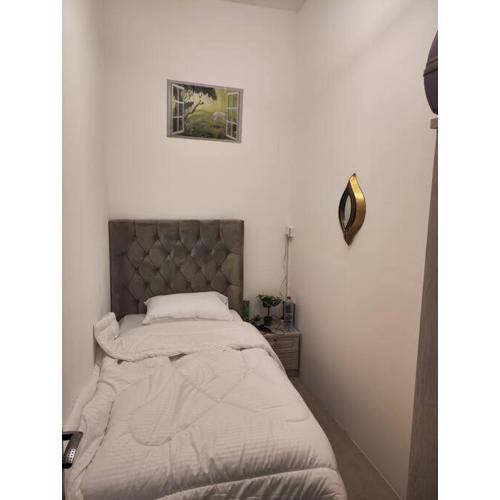 VIP bed private partition