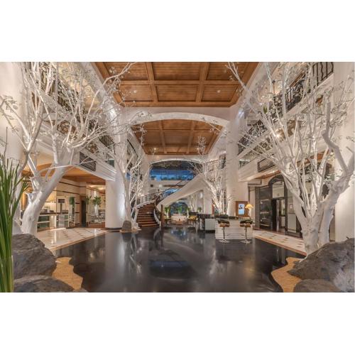 Vivere Hotel and Resorts