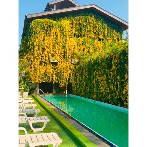 Waasala Eco Luxury Heaven