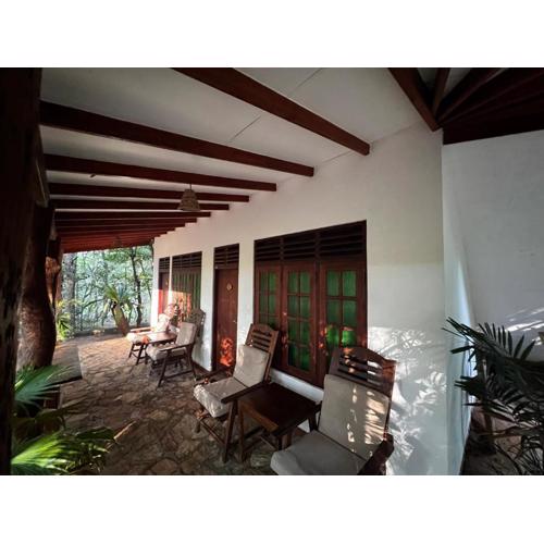 Walawa Blue Sapphire