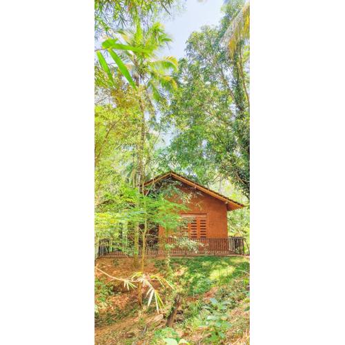 Walawa Dreams Safari Resort