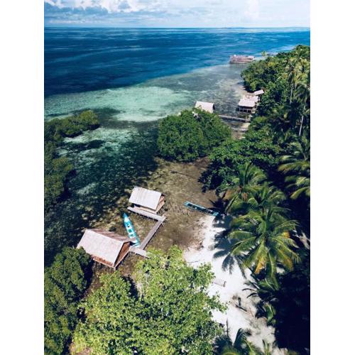 Walking Shark Guest House