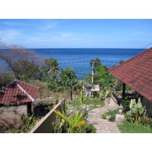 Warung Ary & Home Stay