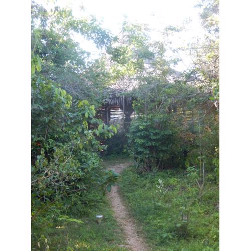 Wasini Island Bandas