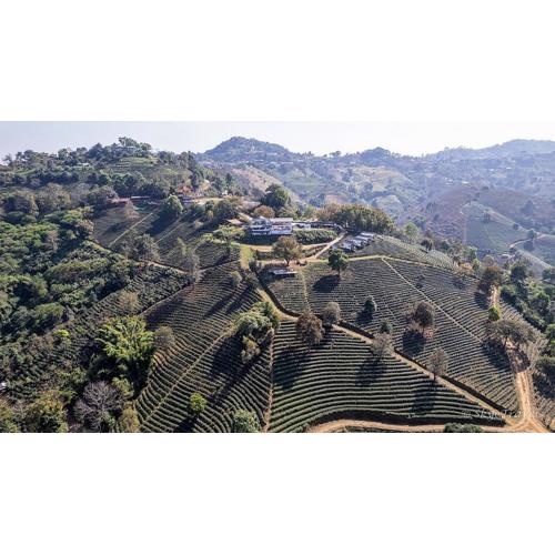 WATA KHIRI by Wang Put Tan