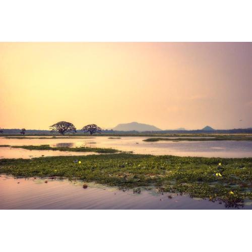 Water Bird's Resort & Yala Safari