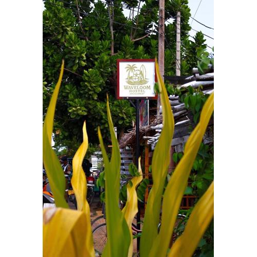 Wave Loom Hostel
