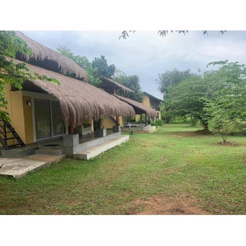 Web of Life Resort Wasgamuwa