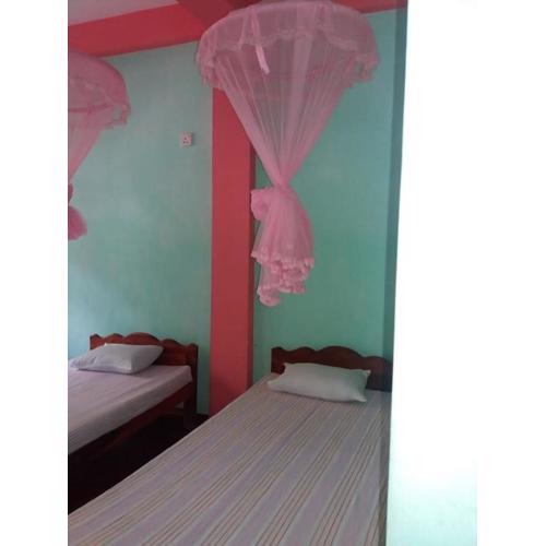 Wellassa holly day in