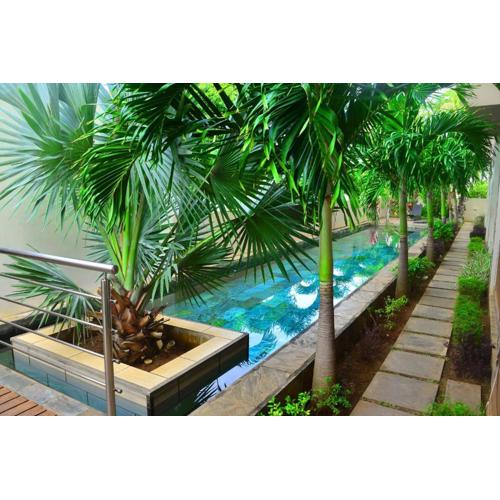 WESTWOOD APPARTMENT-C8 Penthouse with terrace FLIC EN FLAC