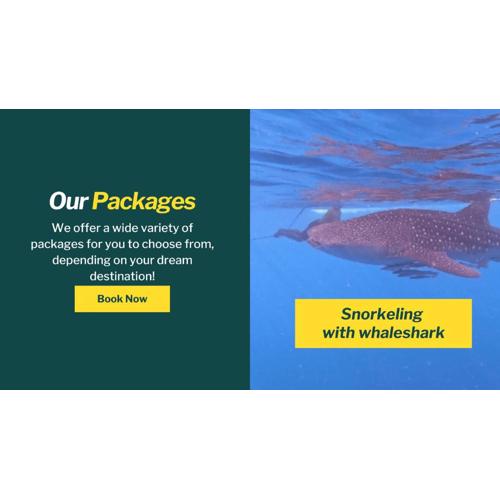 Whale shark Sumbawa Tour