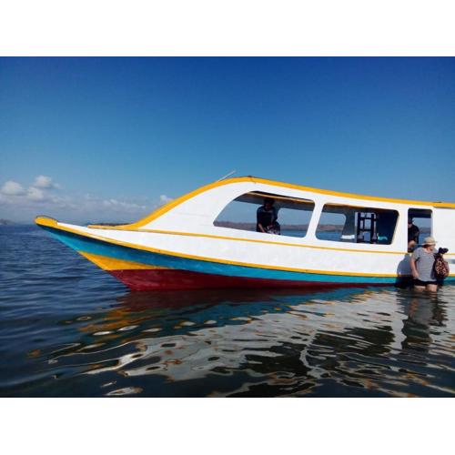 Whale sharks tour agency