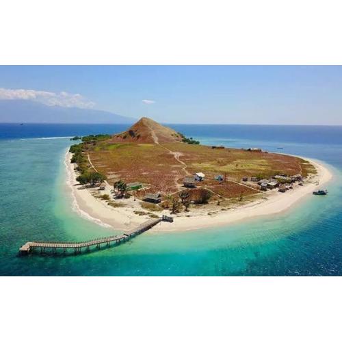 Whaleshark open trip