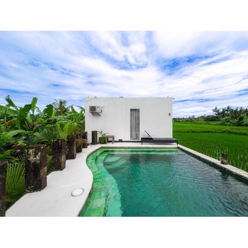 White Cubes Villas