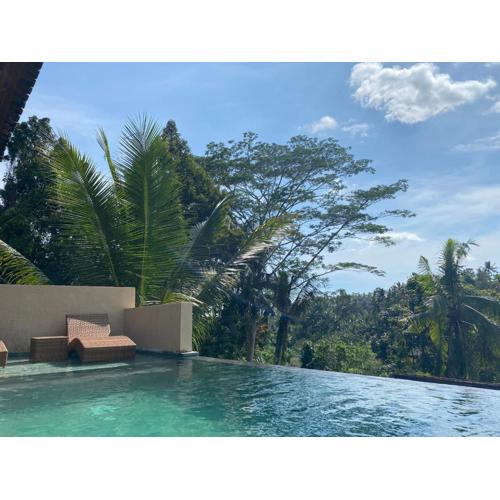 Widi's House 2 Bedroom House with Jungle View