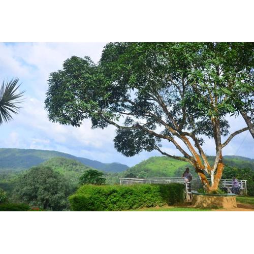 Wijaya Holiday Resort