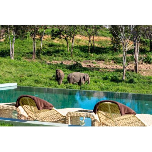Wild Cottages Elephant Sanctuary Resort