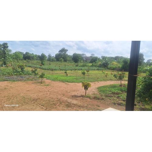 Wild Escape Thanamawila