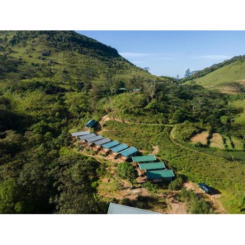 Wild Glamping Knuckles - Thema Collection