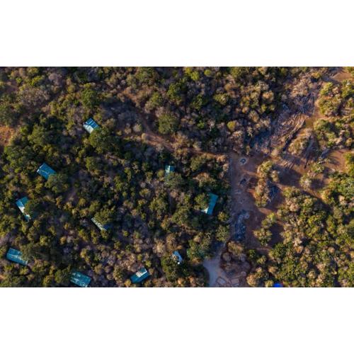 Wild Trails Yala by Mili