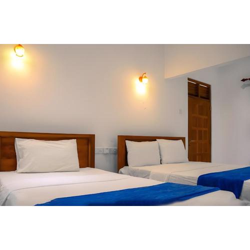 WildSky HomeStay