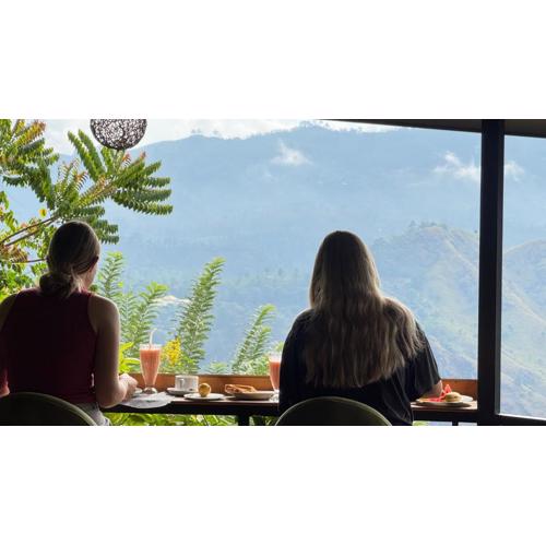 Will Guest Homestay