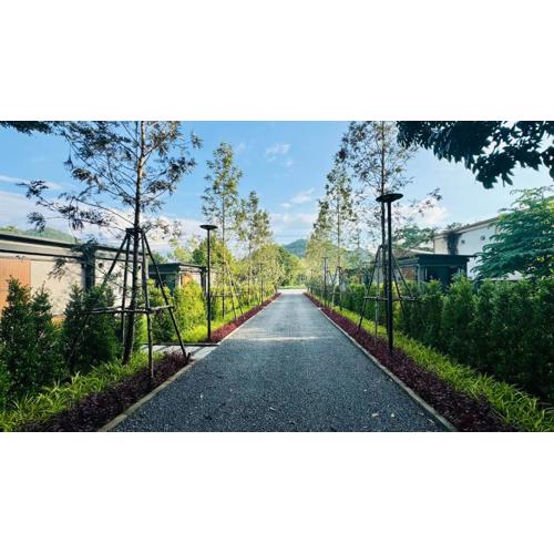 Willow Tree House Khao Yai