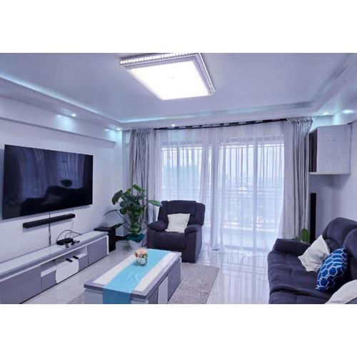 Wilnas Penthouse Apartment