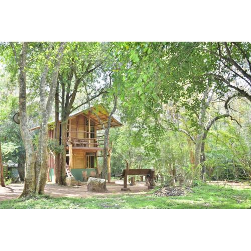 Wilpattu Jungle Resort