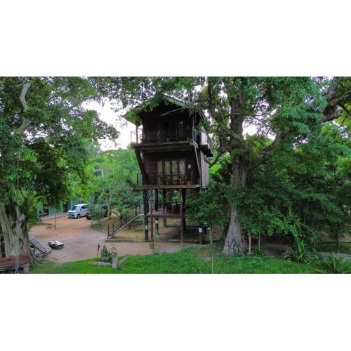 Wilpattu Tree House