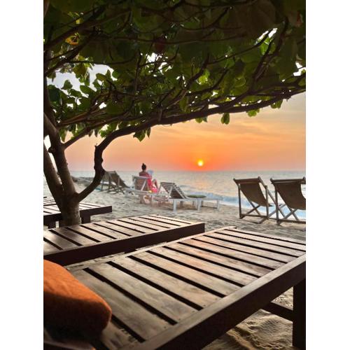 Windy Waves Beach Nature Resort & Kite School