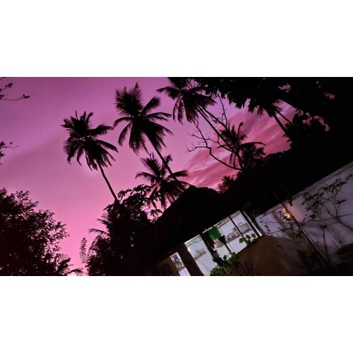 Wine Tree Garden Guesthouse