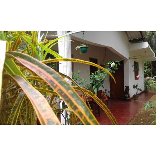 Winstar Homestay