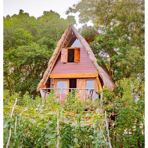 Wisdom Camping and Glamping