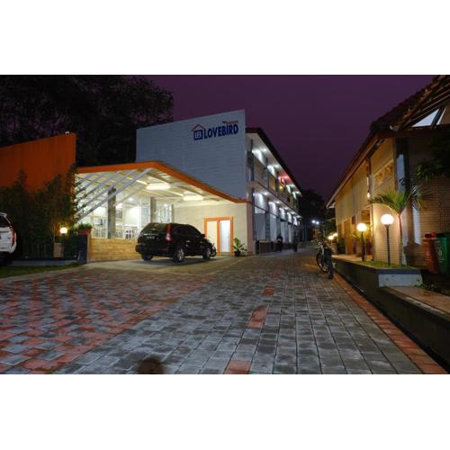 Wisma Lovebird