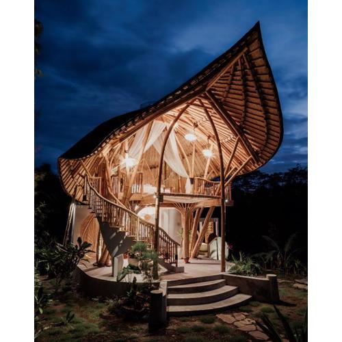 Wiwaka Harmony in Nature