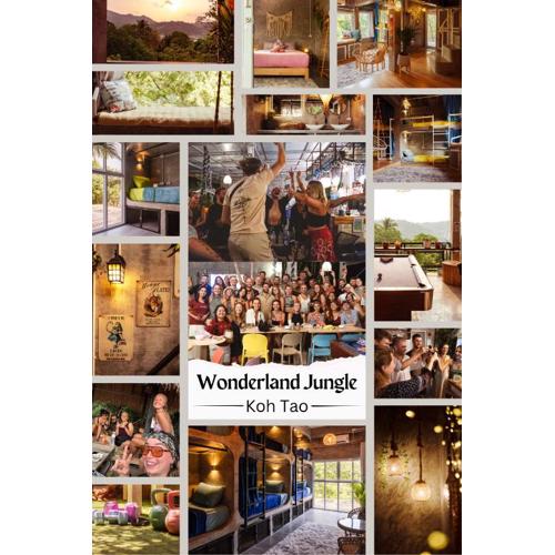Wonderland Jungle Hostel