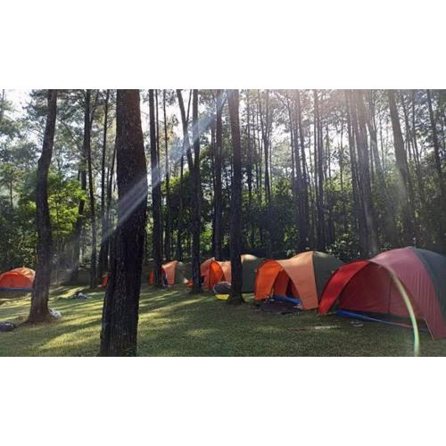 Wong Deso Camping