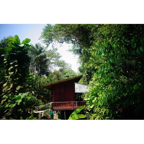Wooden Hut Koh Kood