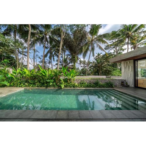 X9 - PROMO - Brand NEW Villa - 3BDR - Jungle - Ubud