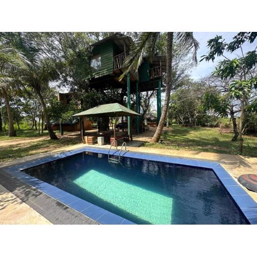 Yala Eco Tree House New
