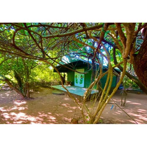 Yala Podi Hoona Bush Camp