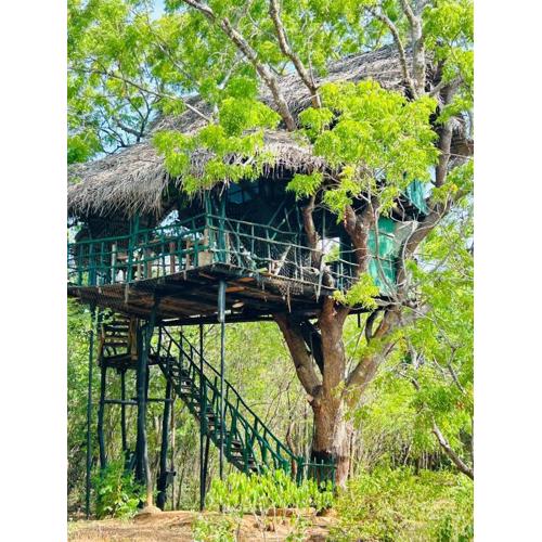 Yala Tree House by 47