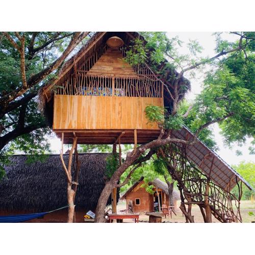 Yala Village Eco Tree House
