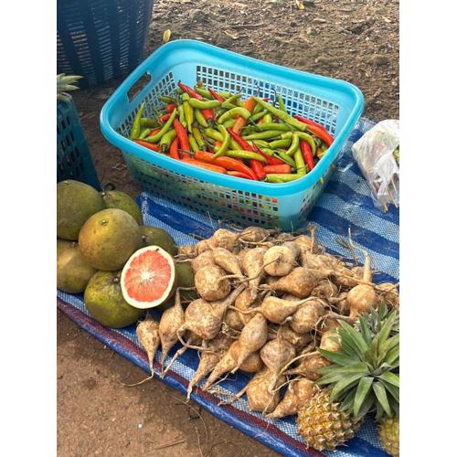 Yidan Farmstay in Chiang Dao