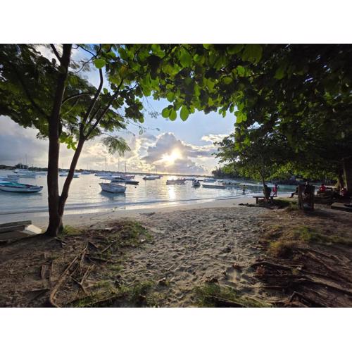 Your cosy apartment in the heart of Grand Baie