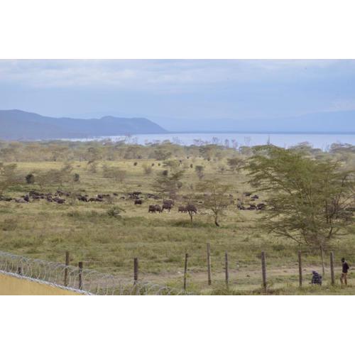 Yvonne furnished home